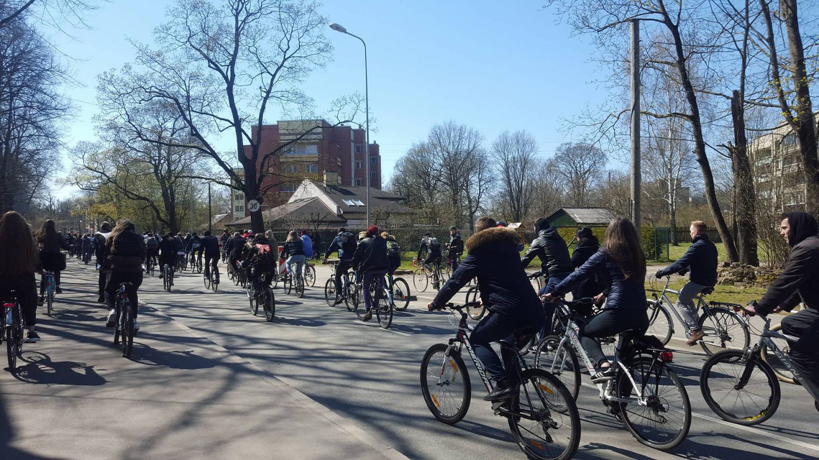 bicycles car-sharing