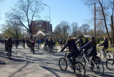 bicycles car-sharing