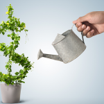 Car Sharing profitability