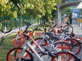 Bike Approach