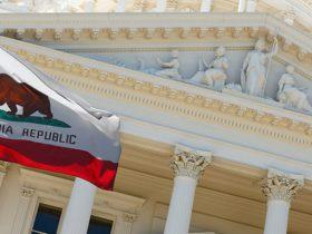 Environmental Impact