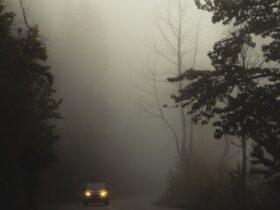 2021 is the year of autonomous vehicles