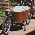 Large-tired and tested: how Europe’s cargo bike roll-out is delivering