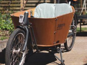Large-tired and tested: how Europe’s cargo bike roll-out is delivering