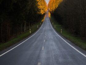 Experts say blinding autonomous cars can reduce accidents!