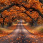 How this country is encouraging green mobility